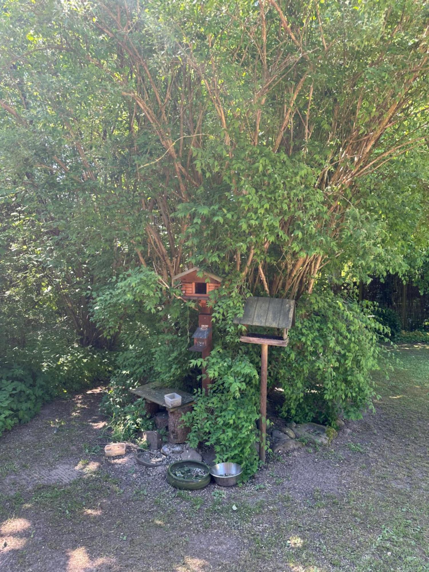 Large Room With Balcony At The Edge Of The Forest Lokken Bagian luar foto